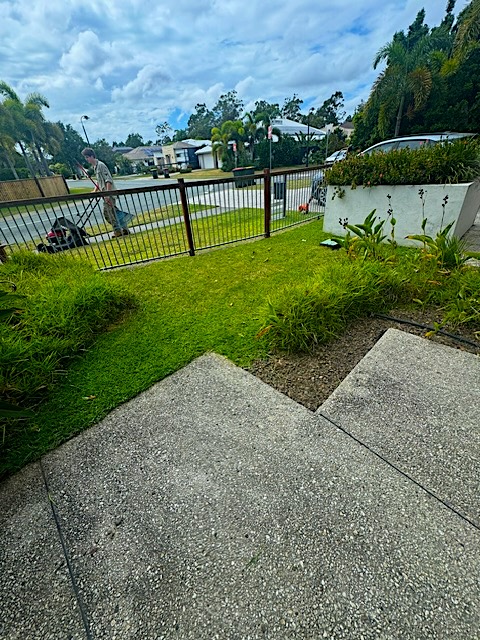 Completed Lawn Job